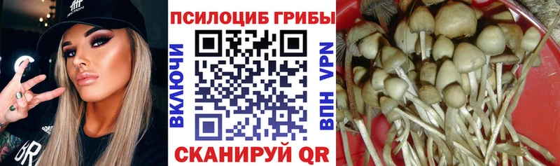 Галлюциногенные грибы Psilocybine cubensis  цена   Кораблино 
