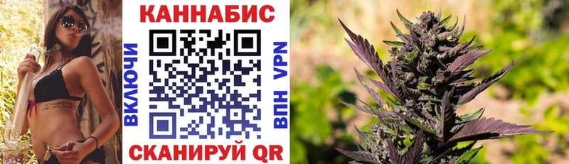 Каннабис планчик  наркотики  Кораблино 